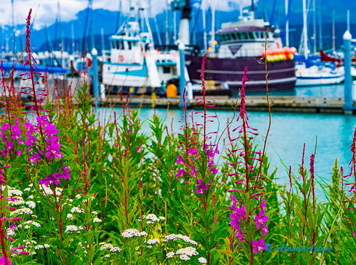 Seward Harbor